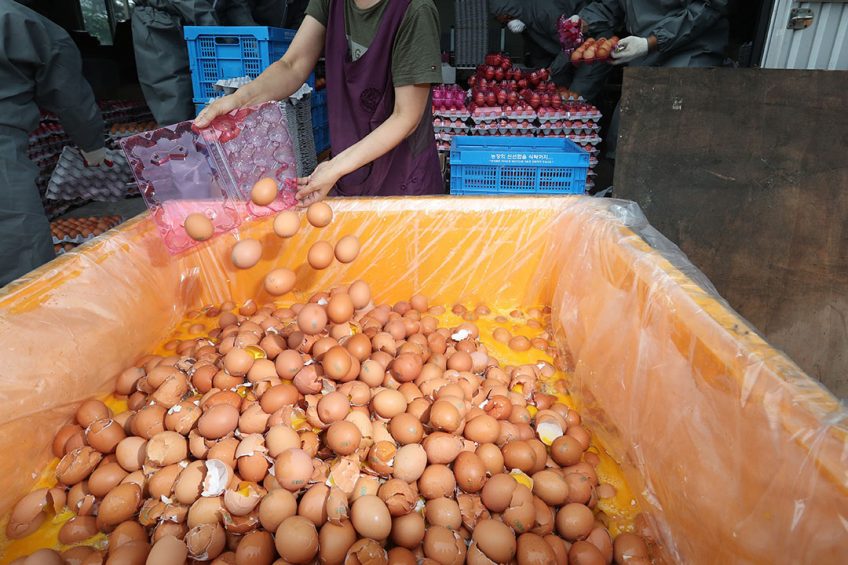 WRAP, which has been a driving force in reducing the amount of food waste, made a deal with poultry companies to enable them to sign up to the Food Waste Reduction Roadmap. Photo: ANP