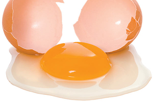 Effect of oxycarotenoids diet supplementation on egg yolks