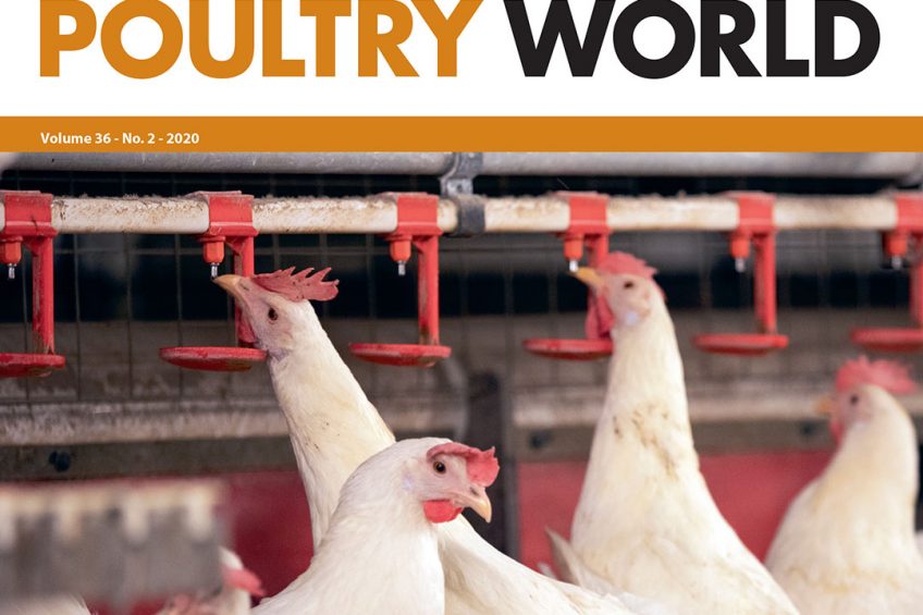 The 2nd edition of Poultry World 2020 is now online