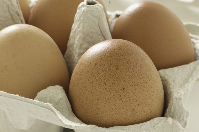 Egg thefts prompt farmer to invest in vending machine. Photo:  Food and Drink/Rex/Shutterstock