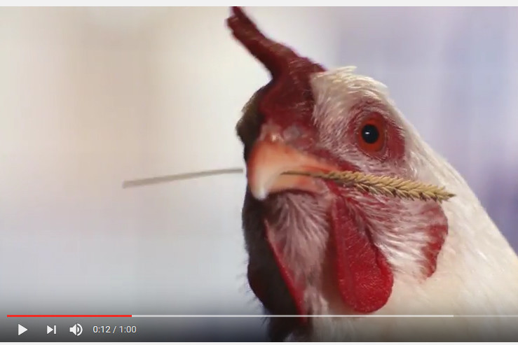 KFC launches new hard-hitting marketing ad