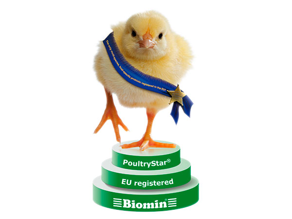 New probiotic from Biomin gets EU approval for poultry
