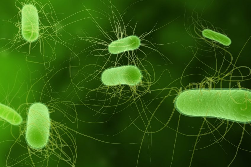 Pathogen-inhibiting activity of commercial organic acids. Photo: Dreamstime