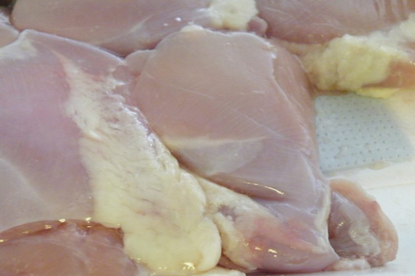 E-coli infection in humans linked to poultry. Photo: Wikimedia