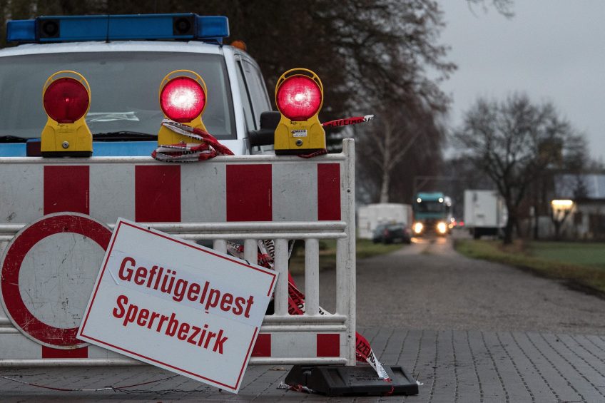 epa05688136 A 'Birds flu blocked area' notice hangs at the entrance to a mast barn closed by the police after the outbreak of avian influenza near Doetlingen, Lower Saxony, Germany, 25 December 2016. After the occurrence of the H5N8 virus, some 10,000 animals had to be killed. In the last few days there have been repeated outbreaks of avian influenza in Lower Saxony stables.  EPA/INGO WAGNER