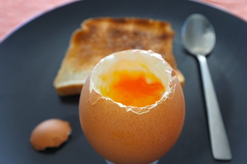 UK egg consumption to smash through 200 eggs a year barrier. Photo: Chameleons Eye/REX/Shutterstock