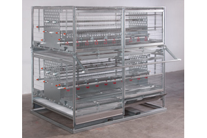 Combi-Pullet laying cage lets layers decide