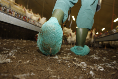 The aim of biosecurity ( is to create barriers between the birds in the farm and many sources of contamination.