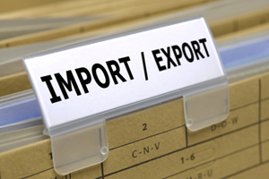 South African poultry import tariff decision delayed