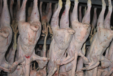 Value added turkey and quail meat products