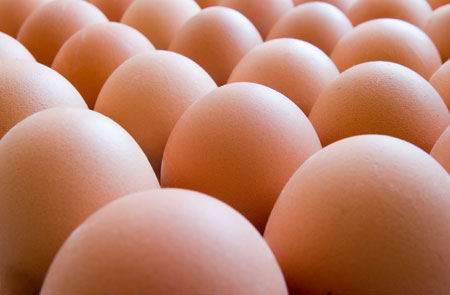 Artificial eggs hit US supermarket shelves