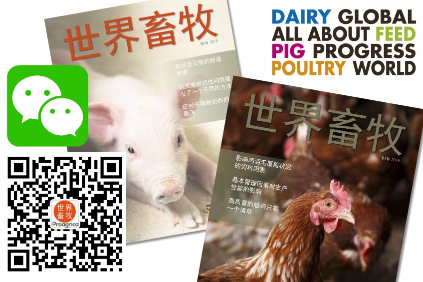 Poultry World celebrates its WeChat launch in China