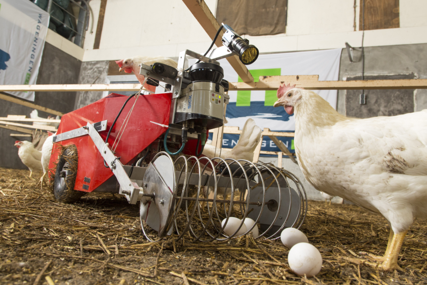 Interview: Is robotic egg collection the future?