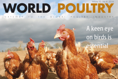 World Poultry 4: Determining pecking order