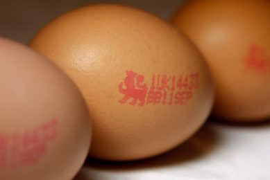Non-UK egg white recall prompts calls for higher food safety. Photo: Anonymous/AP/REX/Shutterstock
