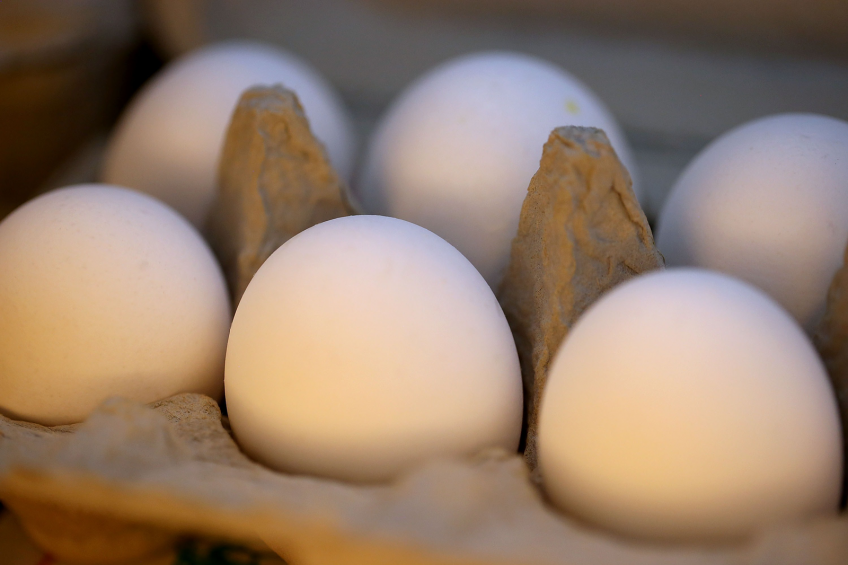 US egg producer reports record year despite AI crisis