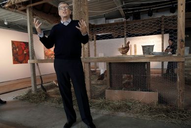Bill and Melinda Gates project The Sustainable Access to Poultry Parental Stock (SAPPSA) is backed by SASSO, Hendrix s traditional poultry business. Photo: Gates Foundation