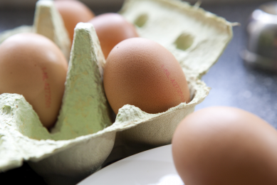 Over 4% drop in UK egg prices