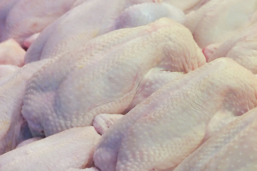 Russian market saturated by domestic poultry production
