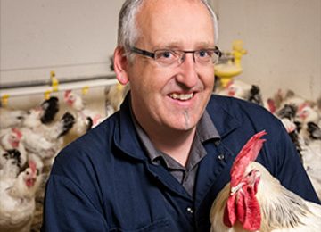 Precision feeding chickens for a uniform flock. Photo: University of Alberta, Faculty of Agricultural, Life & Environmental Sciences