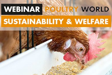Webinar on Sustainability & Welfare: Register now