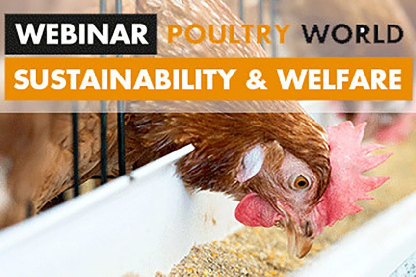 Webinar on Sustainability & Welfare: Register now