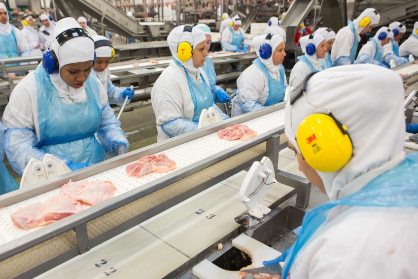 MHP plans 2nd poultry processing plant in Europe. Photo: AFP
