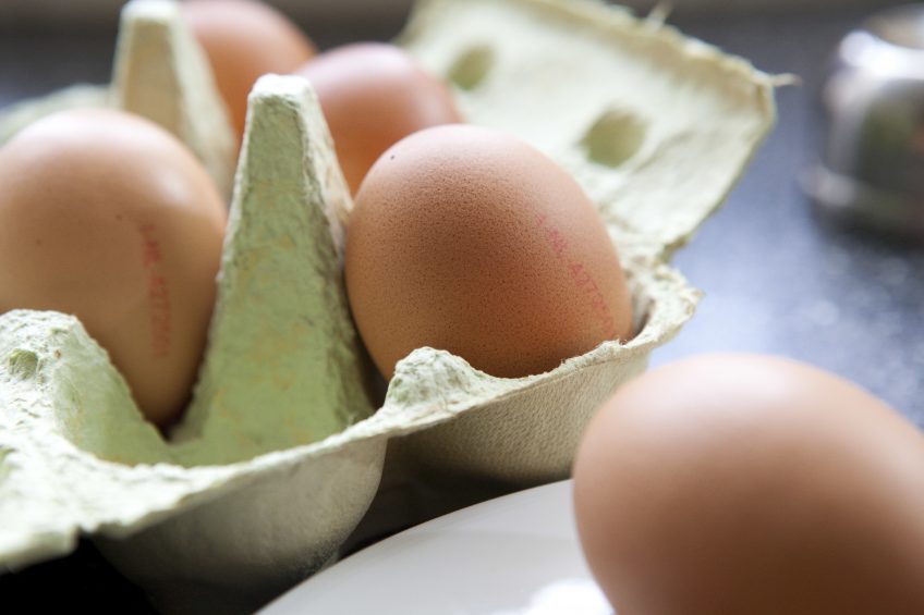 Fipronil scandal: Belgium egg farmers to get share of ¬ 30m. Photo: Willem Schouten