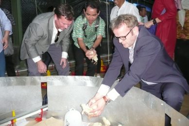 Indonesia: Modern Broiler Learning Centre opens. Photo: Rick van Emous