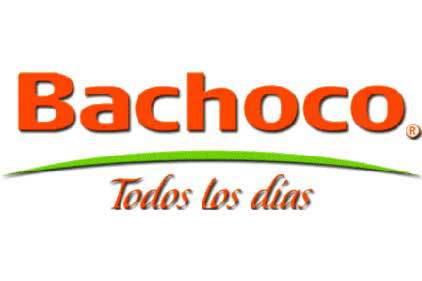 Industrias Bachoco reports profit loss despite highest annual sales
