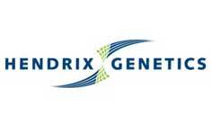 Hendrix Genetics awarded with RusPrix 2012