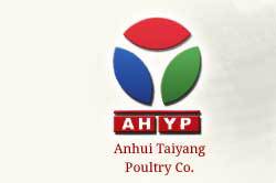 Anhui Taiyang Poultry launches new corporate website