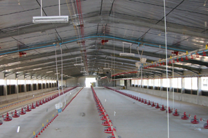 Poultry housing product marks landmark sales growth