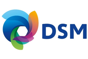 Company update: DSM Q3 2012