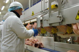 US: Poultry packers – new ‘low’ in workplace injuries