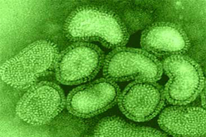 China: Lab reveals H7N9 source