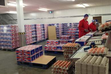 Large UK poultry producer signs deal with CHEP