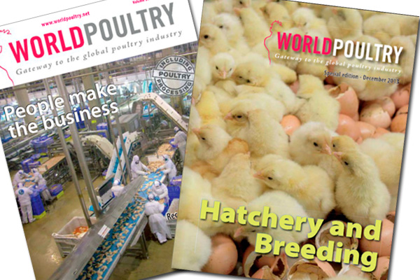 The last World Poultry of 2013 now online