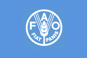 Angola, Brazil and FAO sign Cooperation agreement