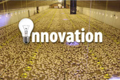 Innovation: The driving force in modern poultry farming