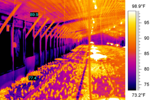 Estimating air leakage in the poultry house