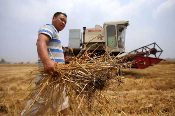 Larger companies focusing on China’s farming sector