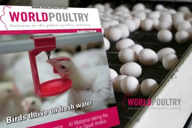 World Poultry video
