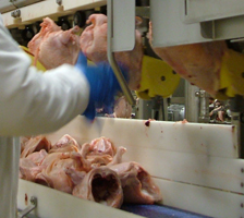 PSA supports modernisation of US poultry inspection System