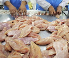 EU restrictions on Thai poultry lifted