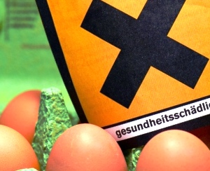 Dioxin in eggs from two more German farms
