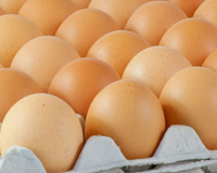 Risk factors for Salmonella on egg production farms in Japan