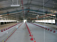 African poultry producers opt for energy efficiency