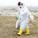 Britain hit with H5N1 bird flu