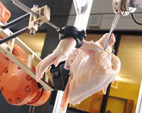 US develops robot to automate poultry deboning process